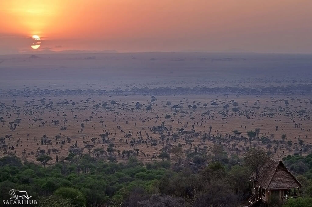 Serengeti To Arusha
