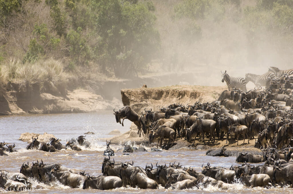 Karatu to Serengeti