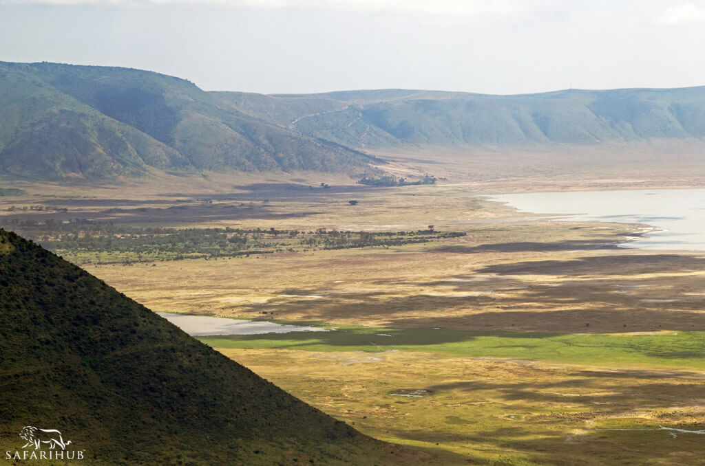 Serengeti to Ngorongoro