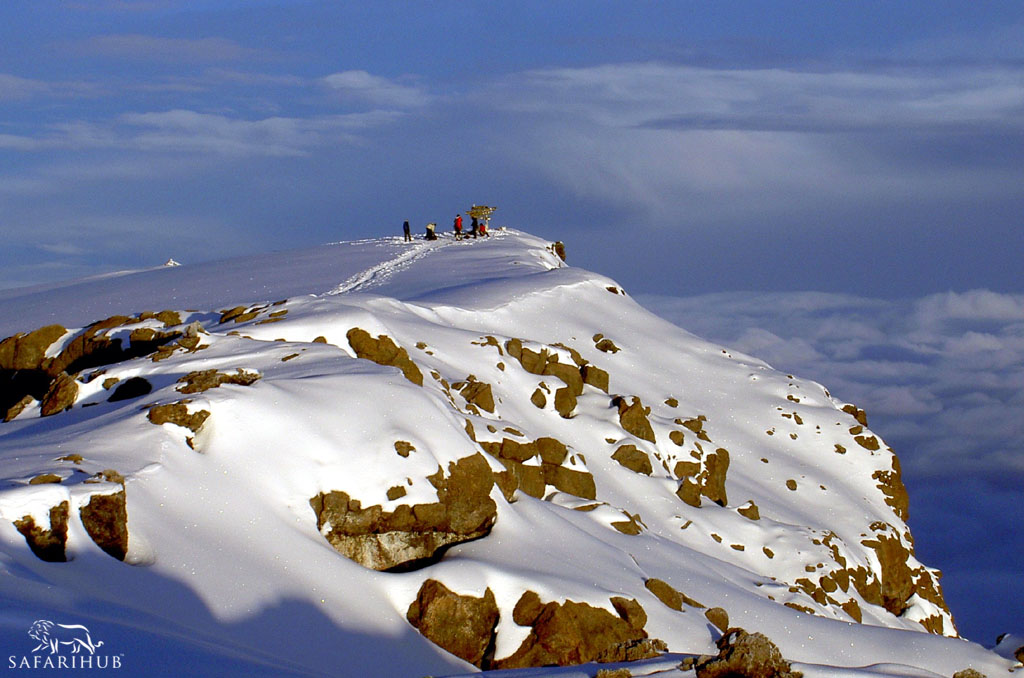 Kibo Camp (4,700m/15,400ft) to Uhuru Peak (5,895m/19,340ft) to Horombo Hut (3,720m/12,200ft) 
