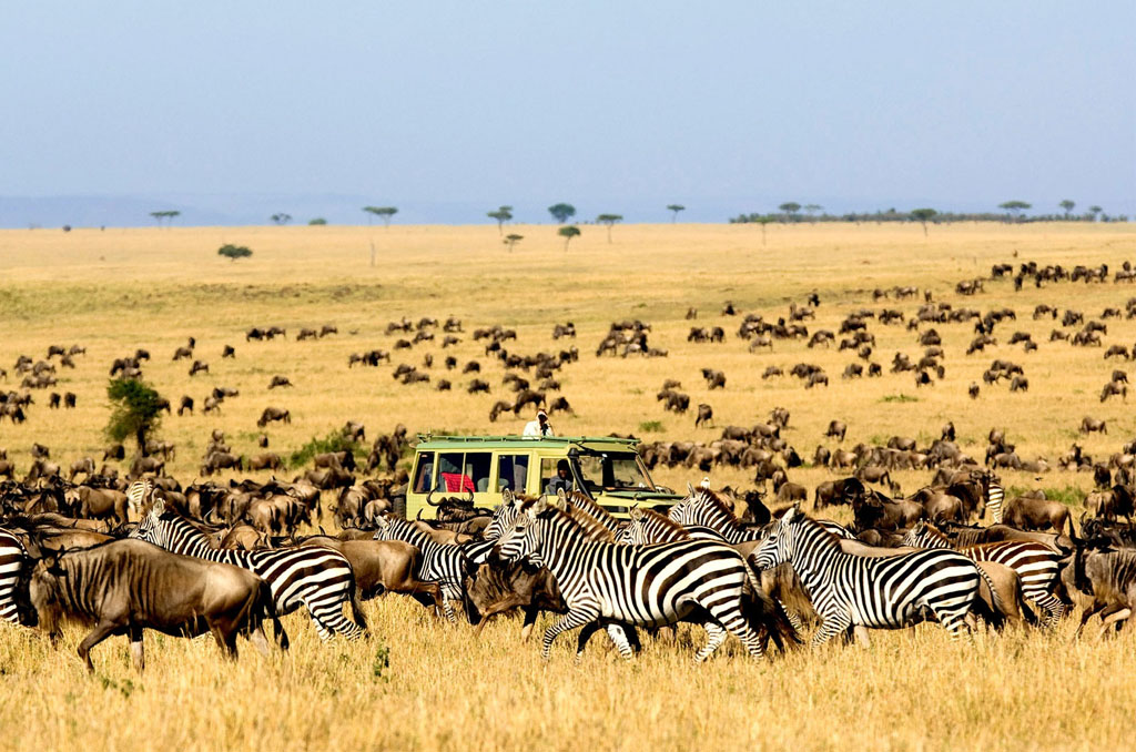 Lake Manyara National Park to Serengeti National Park  
