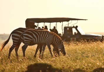 Sky Safari Kenya Connoisseur