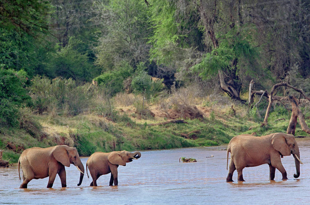 Nairobi to Samburu Game Reserve