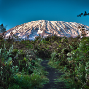 Climbing Mount Kilimanjaro - The Lemosho Route - Safarihub