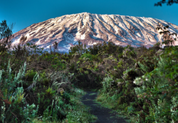 Climbing Mount Kilimanjaro – The Lemosho Route