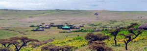 NgorongoroConservation area - Safarihub