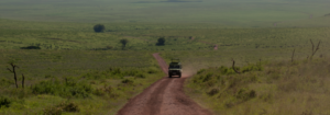Destination in Tanzania - Safarihub