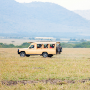 Tips for a Self Drive Safari in Tanzania
