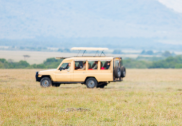 6 Tips for a Self Drive Safari in Tanzania