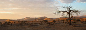 Namib Climate - Safarihub