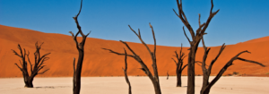 AMAZING FACTS ABOUT NAMIB DESERT