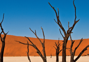 Amazing Facts About Namib Desert