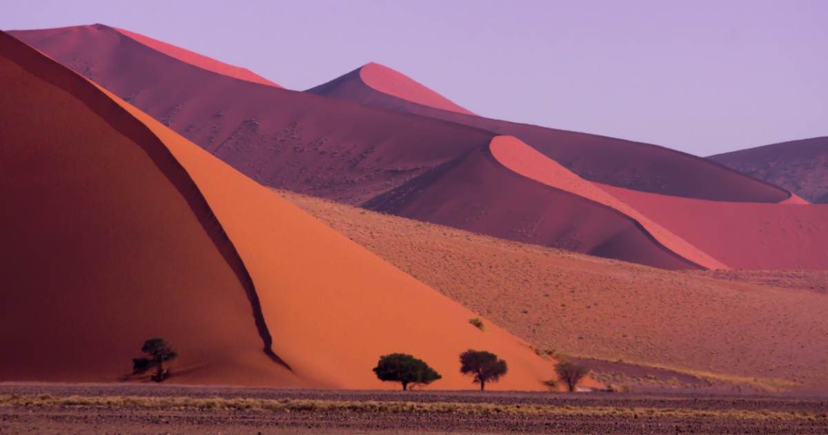 10 Facts About the Namib Sand Dunes - On The Go Tours Blog