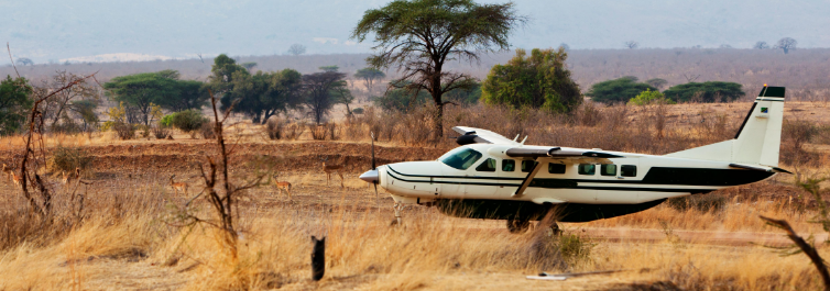 African Safari Under $1500