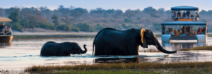 African Safari Under $1500
