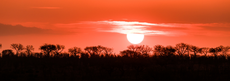 6 - BUSHMAN AND WOLHUTER TRAILS - 10 Things to Know About Kruger National Park