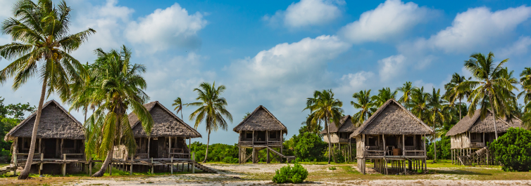 10 Best Zanzibar Safari Tour Packages