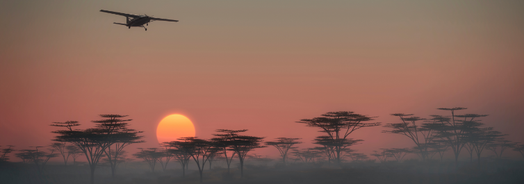 Sky Safari Kenya Connoisseur - 10 Best Kenya Safari Tour Packages
