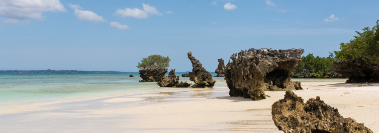 5 Best Islands to visit on the coast of Tanzania