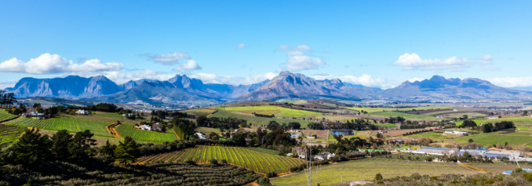 Cape Town Wineland is considered the oldest foodie destination in South Africa - Safarihub