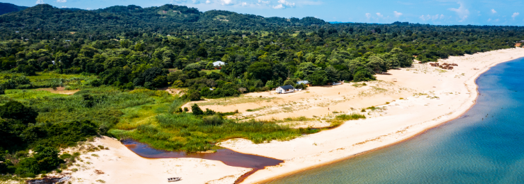 8 Interesting Facts about Liwonde National Park in Malawi - Safarihub