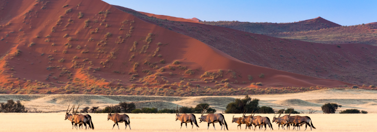 The entry gate to Sossusvlei located at Sesriem opens during sunrise and closes late after sunset - Safarihub