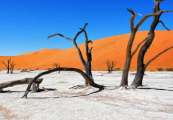 7 Things You Should Know About Sossusvlei Safari, Namibia