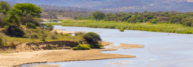Which is the largest Game Reserve in Africa - Blog By Safarihub