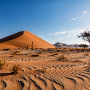 8 Things to know about Namibia - Blog by Safarihub