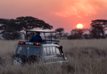 10 Best Family Safari Holiday Packages by Safarihub